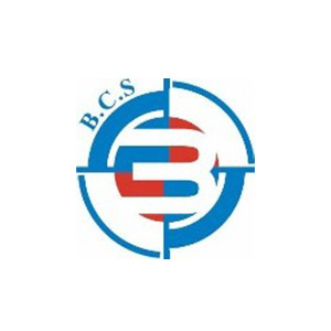 Basio Consultants and Services Limited